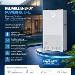 14.3kWh Dyness LiFePO4 Battery for Solar Systems | BMS Built In