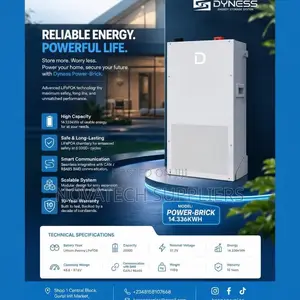 Dyness PowerBrick 14.3kWh Lithium Battery| Both Solar and Electricity