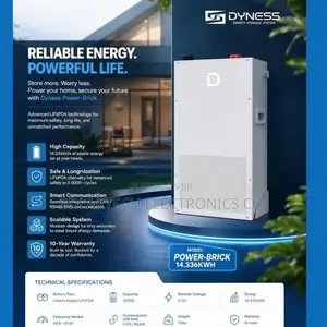 Dyness 14.3kWh LiFePO4 Solar Battery | 8000 Cycles | 10Y Warranty