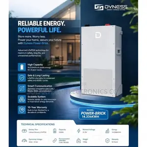 2. 3kWh Dyness Lithium Battery With Smart BMS | 8000 Cycles