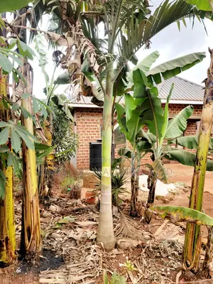 Land for Sale – Nazigo, Kayunga–jinja Road