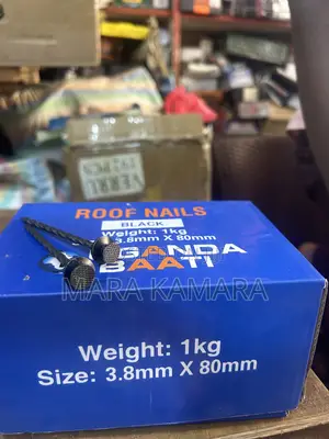 Roof Nails