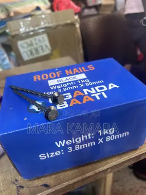 Roof Nails