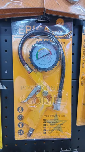 Epica Star Tire Inflating Gun With a 12 Bar Pressure Gauge.