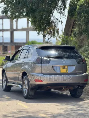 Toyota Harrier 2.4 2009 Gray