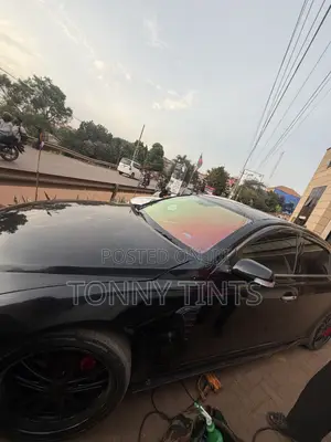 Chameleon Tint