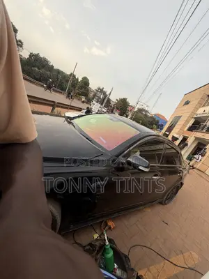 Chameleon Tint