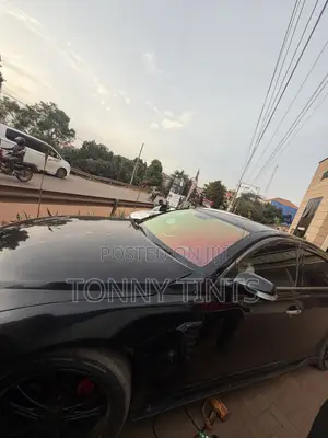 Chameleon Tint