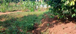 Tuitle Land for Sale Kaliiti Wakiso Bakka Road Off Hoimah Rd