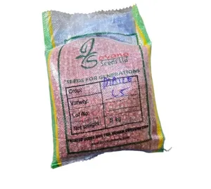 Drought Resistant Maize Seeds 5kg