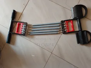 Spring Chest Expanders