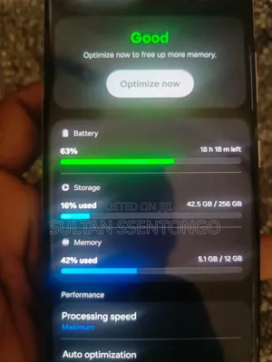 Samsung Galaxy S21 Ultra 5G 256 GB Silver