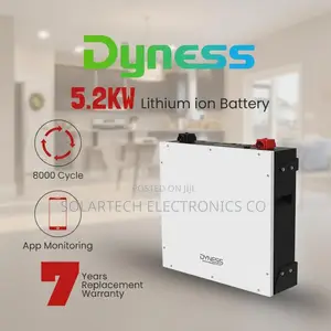 Dyness 5kWh 48V Lithium Battery | 8000 Cycles | 7-Year Warranty
