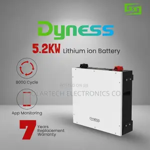 5kWh Dyness LiFePO4 Solar Battery 48V With Smart BMS