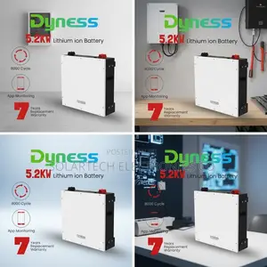 Reliable Dyness 100ah 5kWh 48V Lithium Battery for Home Backup