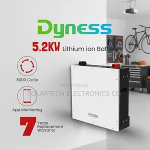 Dyness 5kWh 48V Lithium Battery Compatible for All Inverters