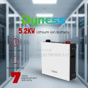 Premium 48V 5kWh Dyness Battery With App Monitoring BMS NTS