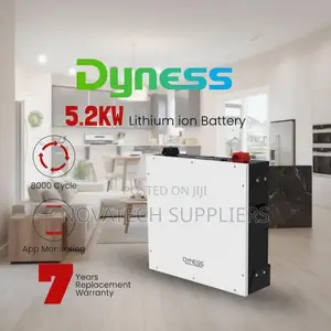 Dyness 5kWh 48V Lithium Battery | 8000 Cycles | 7-Year Warranty