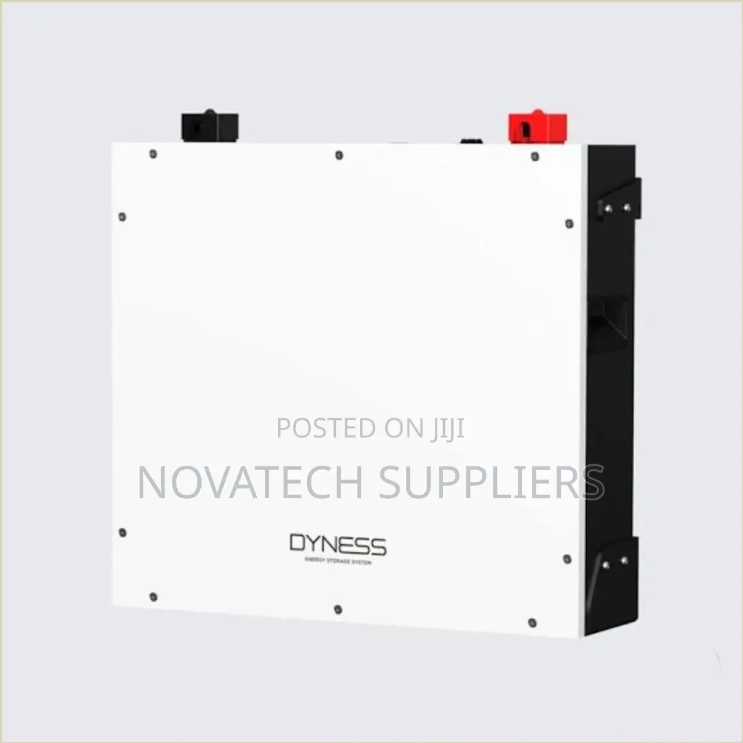 5kWh Dyness LiFePO4 Solar Battery 48V With Smart BMS