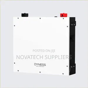 5kWh Dyness LiFePO4 Solar Battery 48V With Smart BMS
