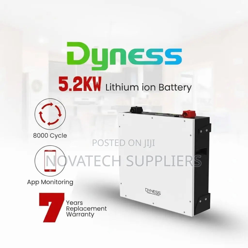 5kWh Dyness LiFePO4 Solar Battery 48V With Smart BMS