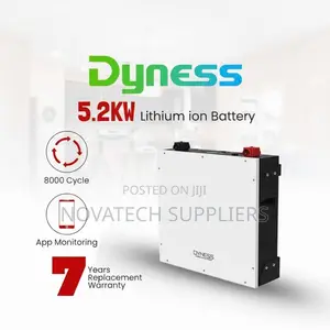 5kWh Dyness LiFePO4 Solar Battery 48V With Smart BMS