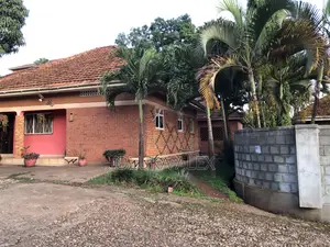 3bdrm House in Makerere Kikoni Near, Central Division for rent