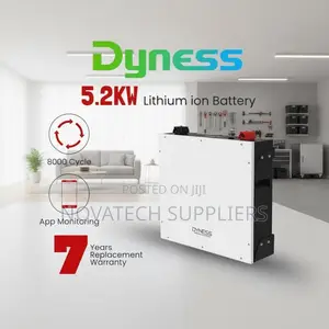 Reliable Dyness 5kWh 48V Lithium Battery for Home Backup 100ah