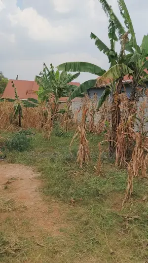 Land for Sale – Seeta, Bugoba (Bukerere Road)
