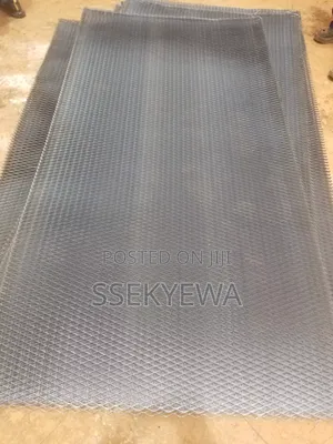 M.s Expanded Mesh