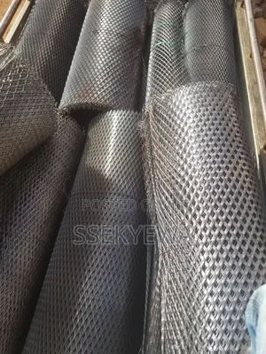 M.s Expanded Mesh
