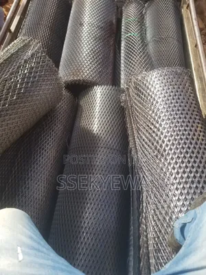 M.s Expanded Mesh