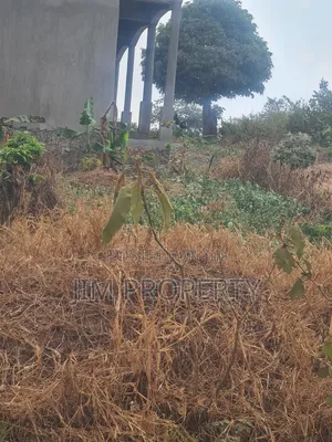 Land for Sale at Gayaza Nakwero 50x100