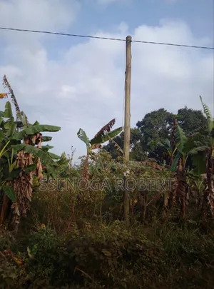 Masuliita Sub Country