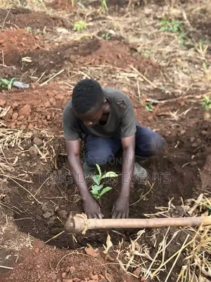 Garden Worker (Omulimi We Waka)