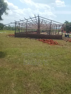 Chicken Structure