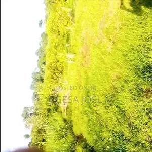 Farm Land for Sale