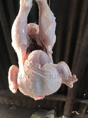 Broilers Available Location Gayaza Busika