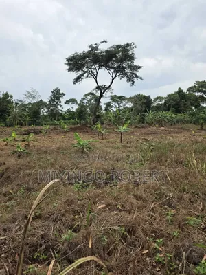 Gayaza Plot