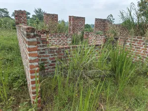 O.5acres of Land on Sale Located in Kasamba- Bugaaki Kyenjojo District