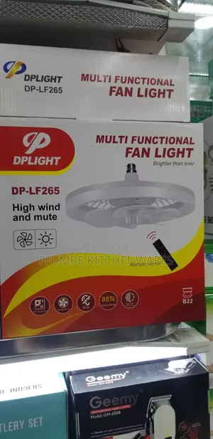 Electric Fan Light