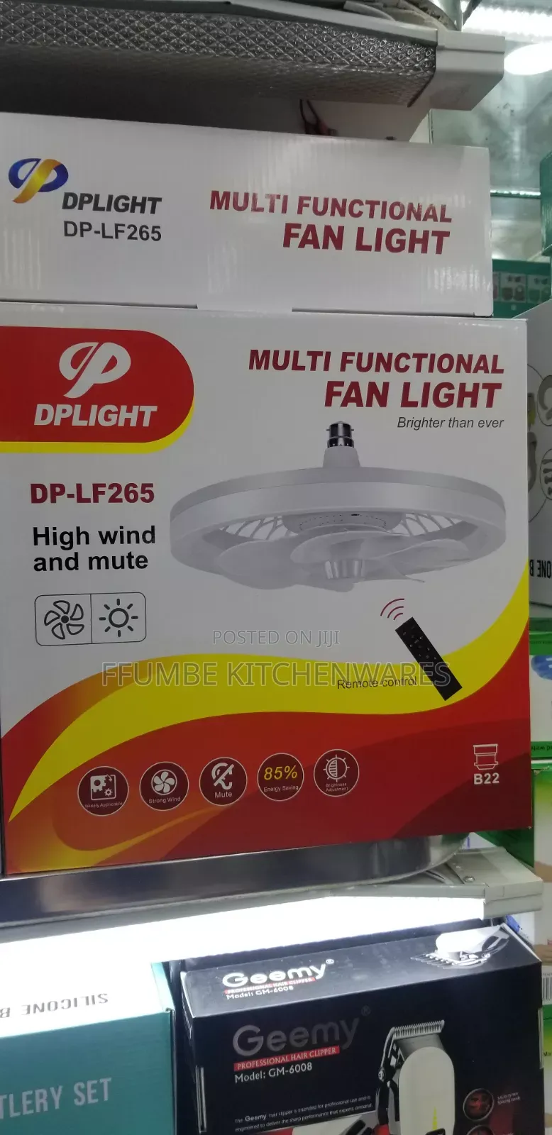Electric Fan Light