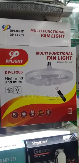 Electric Fan Light