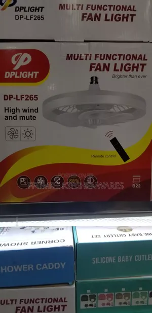 Electric Fan Light