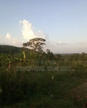 4.5 Hectares of Land for Sale