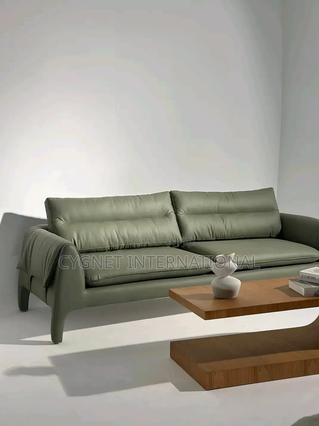 Ready Made Luxurious Sofa Set
