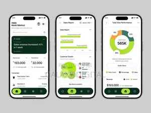 Professional Android iPhone App Development