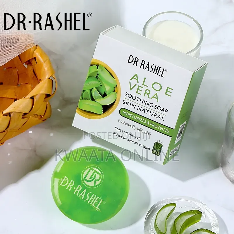 DR RASHEL Aloe Vera Moisturizing Soft and Smooth Skin Box Soap 100gr