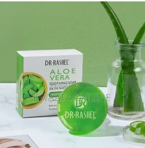 DR RASHEL Aloe Vera Moisturizing Soft and Smooth Skin Box Soap 100gr