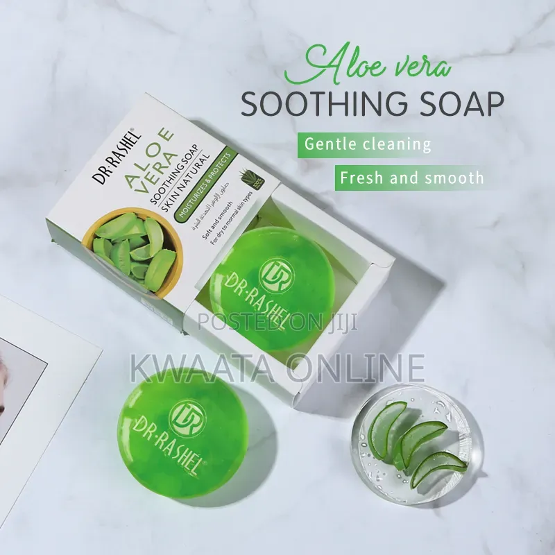 DR RASHEL Aloe Vera Moisturizing Soft and Smooth Skin Box Soap 100gr